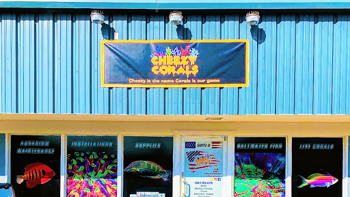 Kraft Funeral Service | Rating: 4.9 | 88 Reviews | 2776 Charlestown Rd