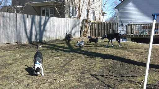 Humane Society Of West Michigan | Rating: 4.5 | 1140 Reviews | 3077