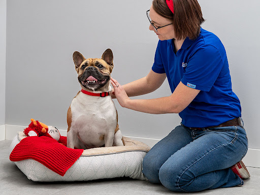 Humane Society of the Pikes Peak Region | Rating: 4.2 | 2310 Reviews ...