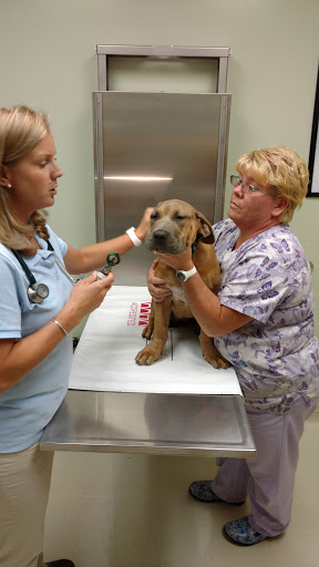 Lynchburg Humane Society | Rating: 4.5 | 964 Reviews | 1211 Old Graves ...