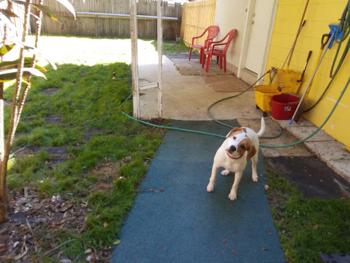 Big Cat Rescue Rating: 4 6 1602 Reviews 12802 Easy St Tampa FL