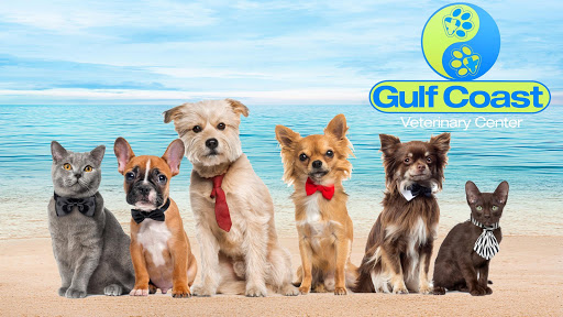 Big Cat Rescue Rating: 4 6 1602 Reviews 12802 Easy St Tampa FL