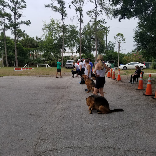 Big Cat Rescue Rating: 4 6 1602 Reviews 12802 Easy St Tampa FL