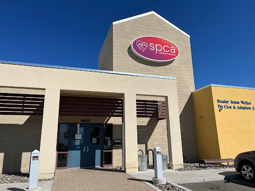 SPCA of Northern Nevada Shelter | Rating: 4.5 | 475 Reviews | 4950 ...