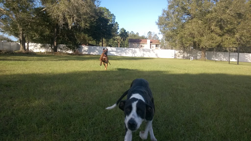 Big Cat Rescue Rating: 4 6 1602 Reviews 12802 Easy St Tampa FL